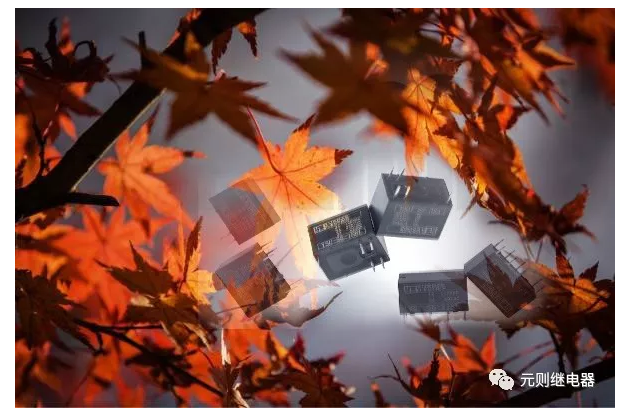 真愛無疆,因為哪里都有我——元則繼電器!
